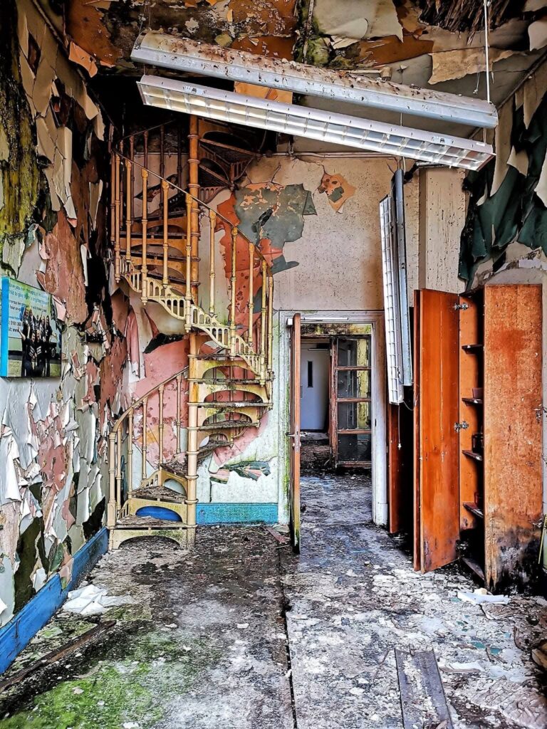 Strip out companies